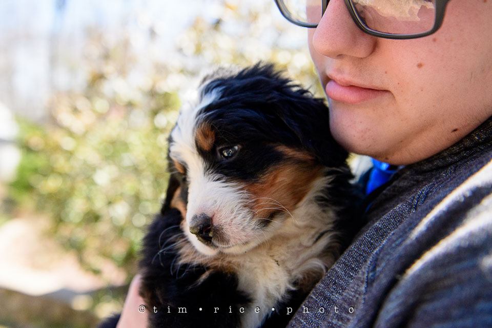 Yr7•200-366•2391•Josephina Smalls the Great