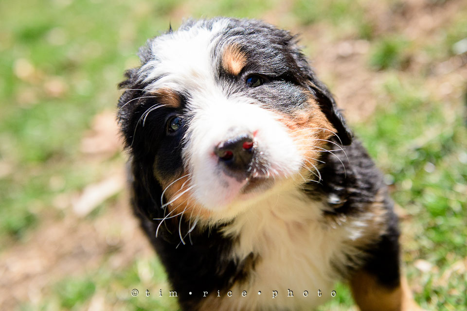 Yr7•201-366•2391•Josephina Smalls the Great