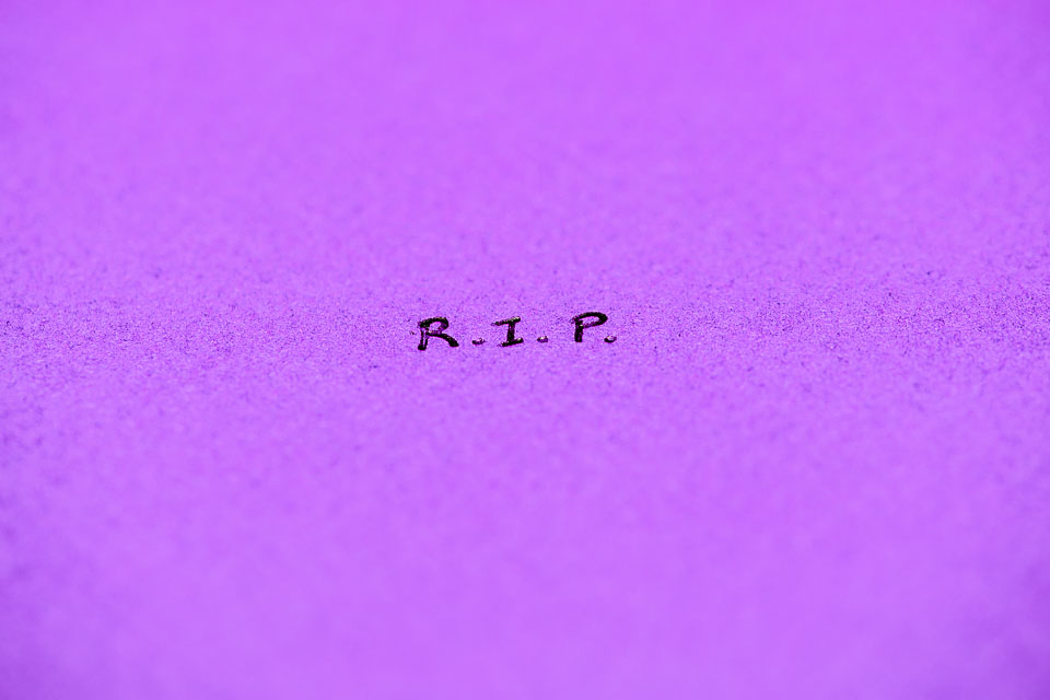 Yr7•204-366•2395•Prince