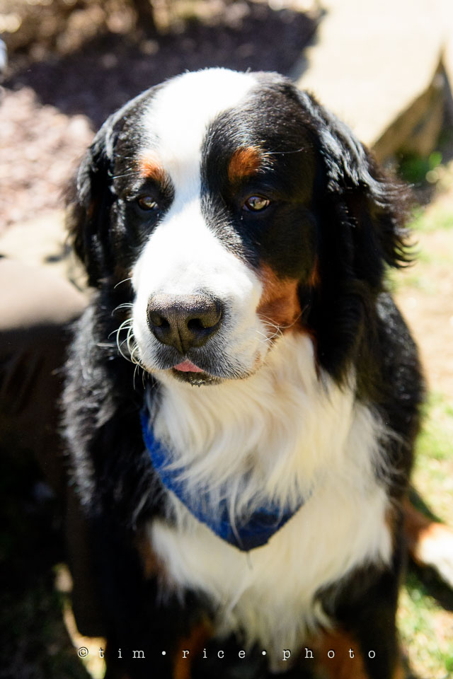 Yr7•206-366•2391•Josephina Smalls the Great