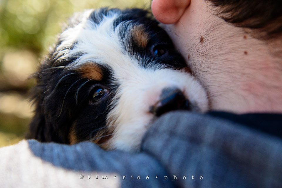 Yr7•207-366•2391•Josephina Smalls the Great