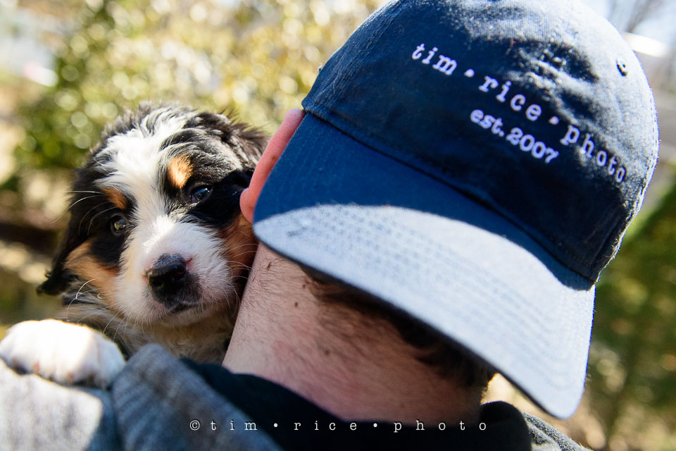 Yr7•208-366•2391•Josephina Smalls the Great