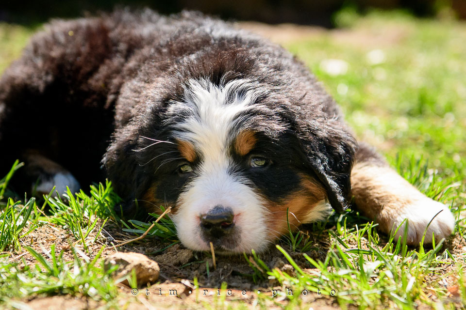 Yr7•210-366•2391•Josephina Smalls the Great