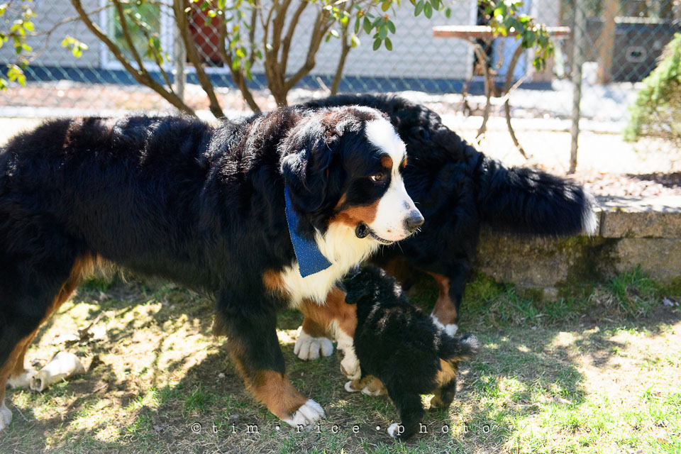 Yr7•211-366•2391•Josephina Smalls the Great