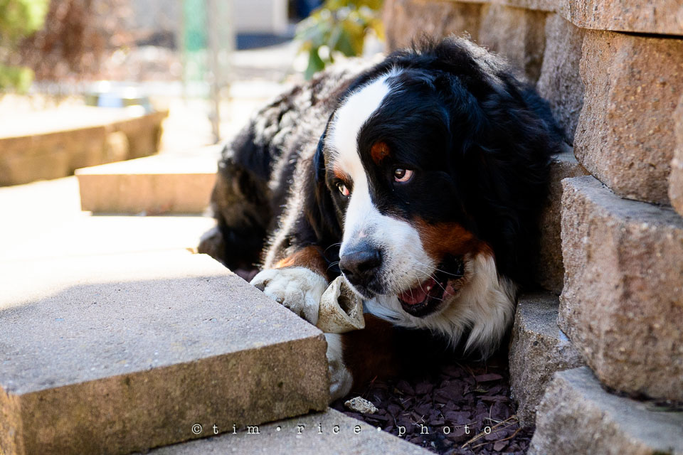 Yr7•212-366•2391•Josephina Smalls the Great