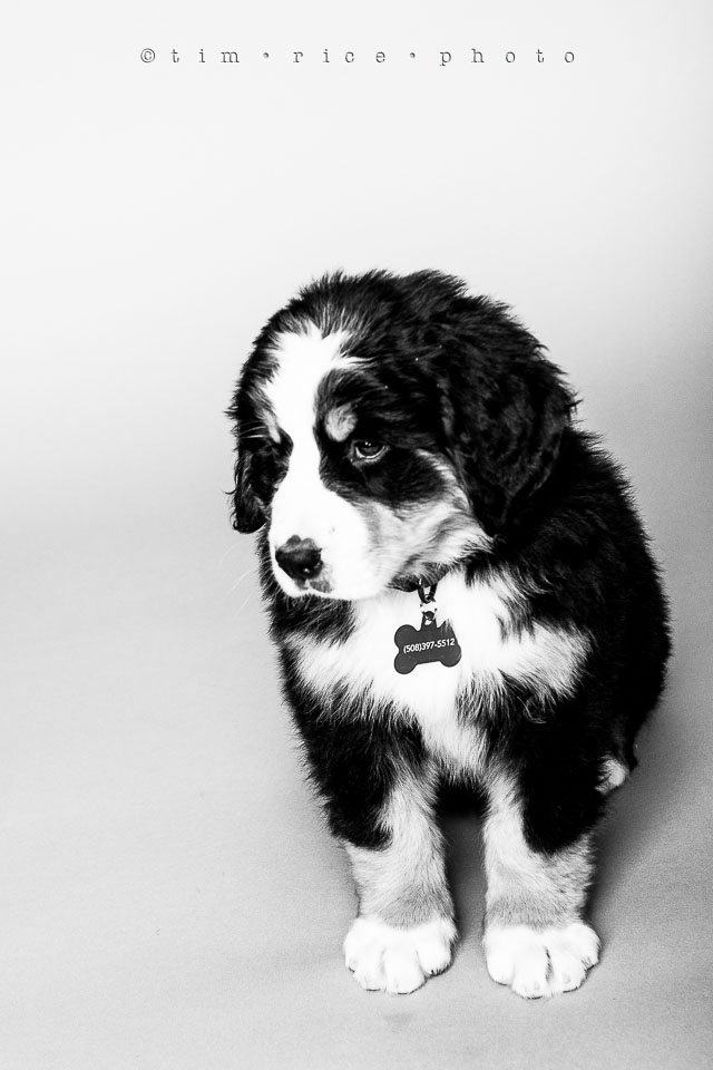 Yr7•213-366•2403•Joise's Home