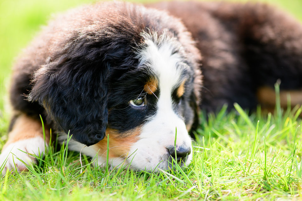 Yr7•213-366•2403•Joise's Home-2