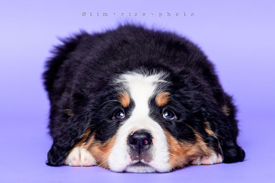 Yr7•214-366•2403•Joise's Home