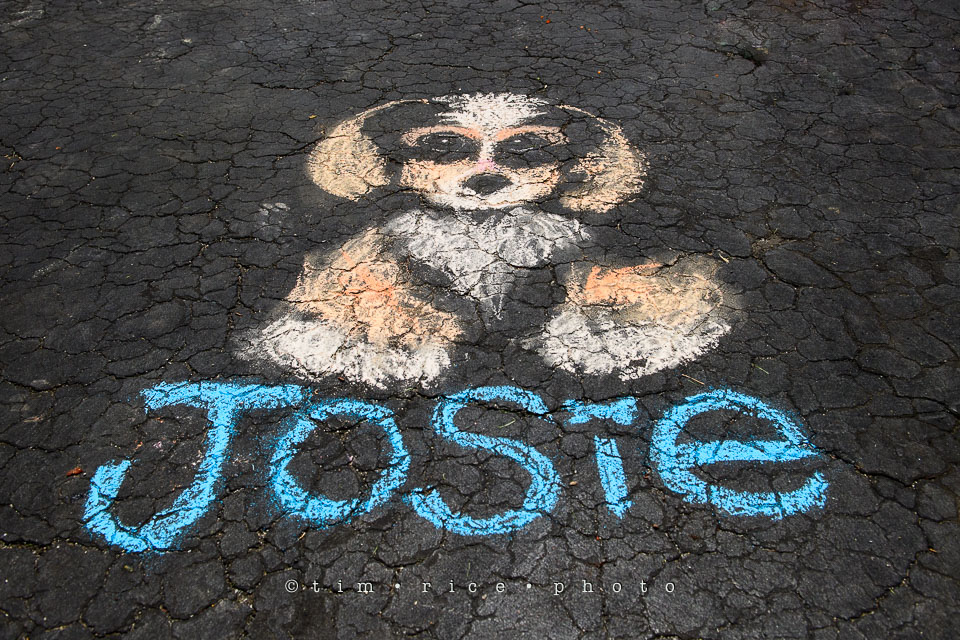 Yr7•214-366•2404•Joise's Art