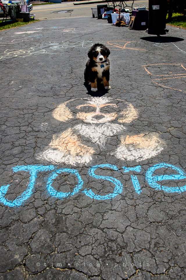 Yr7•214-366•2404•Joise's Art