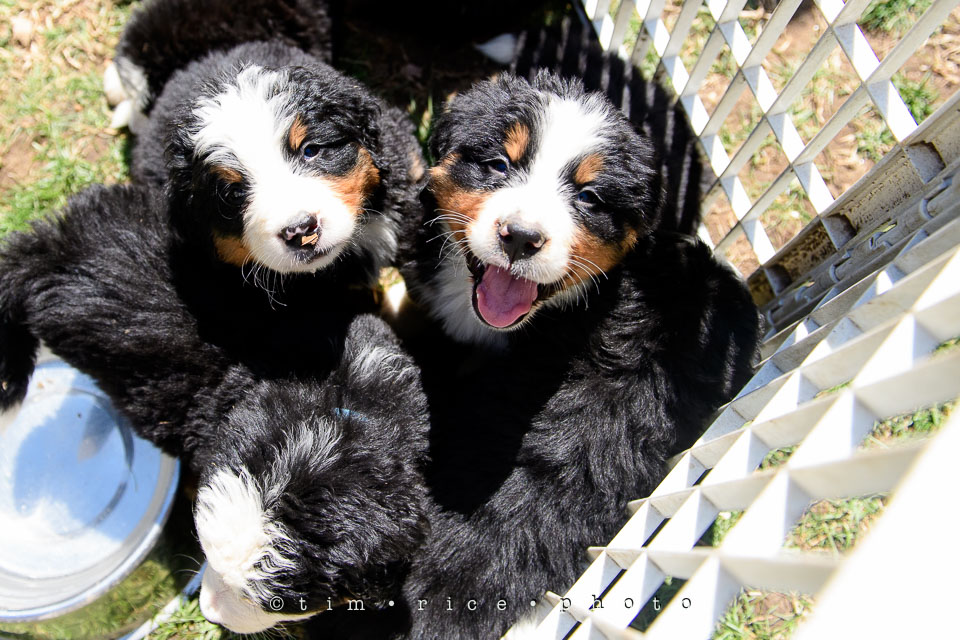 Yr7•215-366•2391•Josephina Smalls the Great