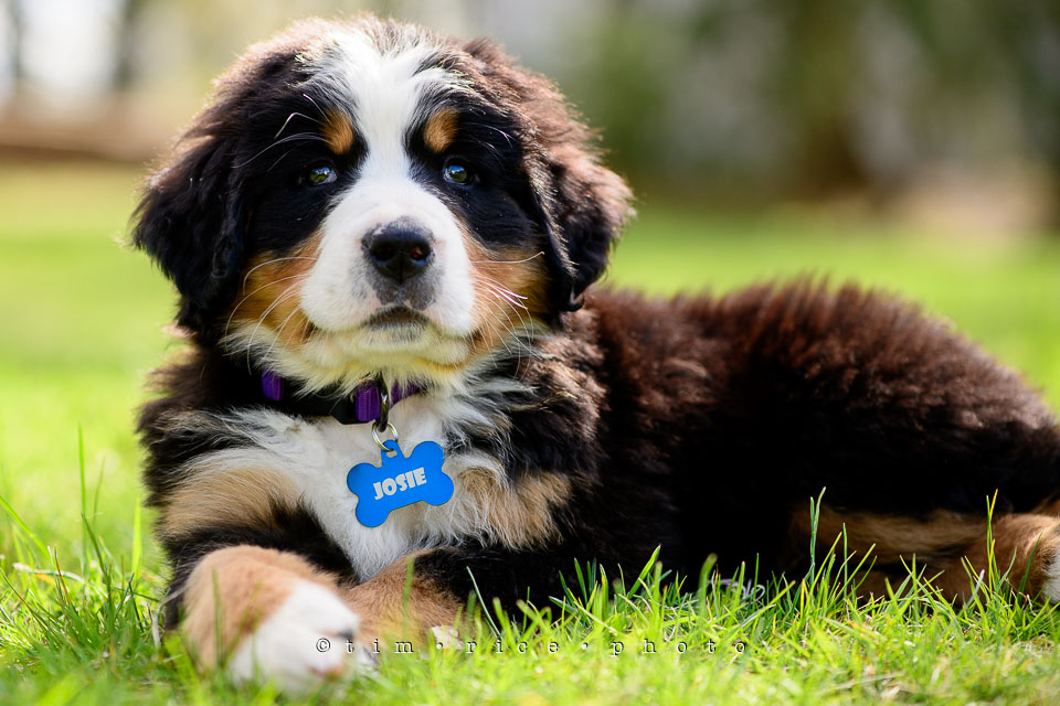 Yr7•215-366•2403•Joise's Home-2