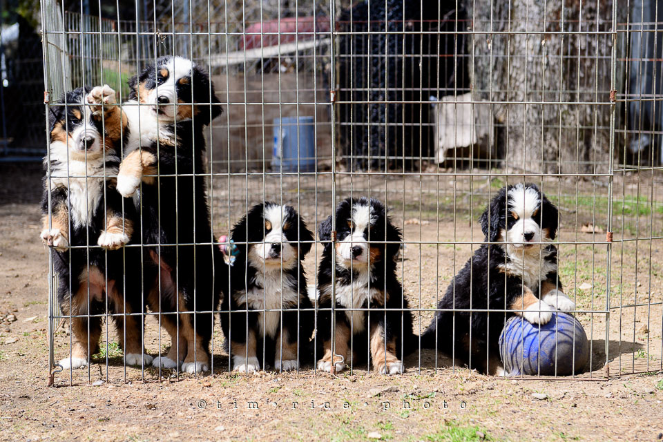 Yr7•215-366•2403•Joise's Home-3