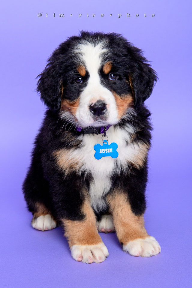 Yr7•215-366•2403•Joise's Home