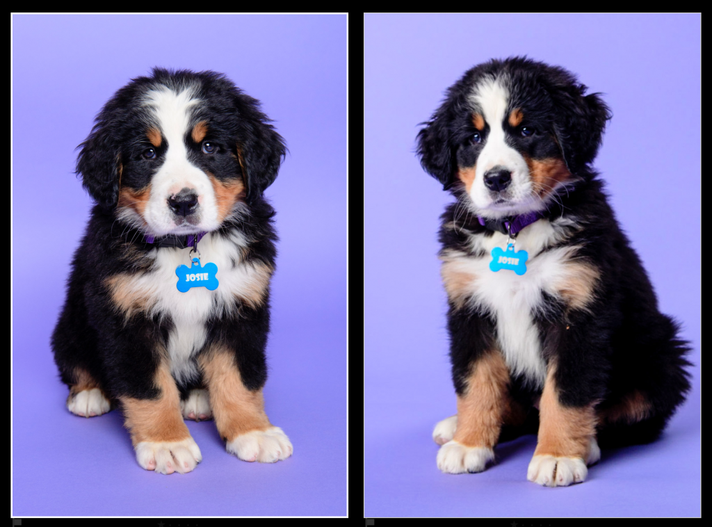 Screen Shot 2016-05-06 at 5.43.46 PM