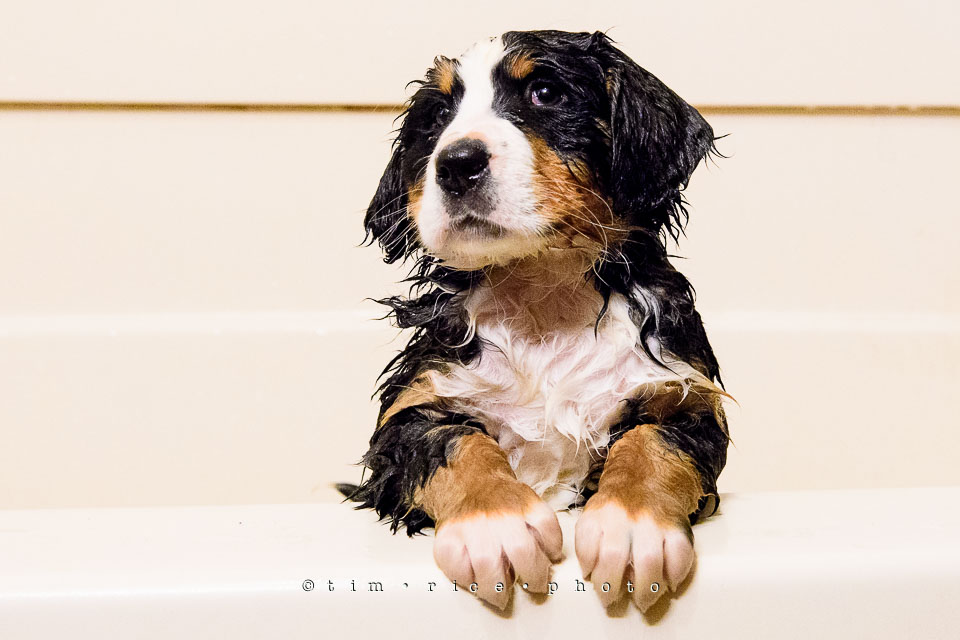 Yr7•214-366•2405•Joise's Bathtime