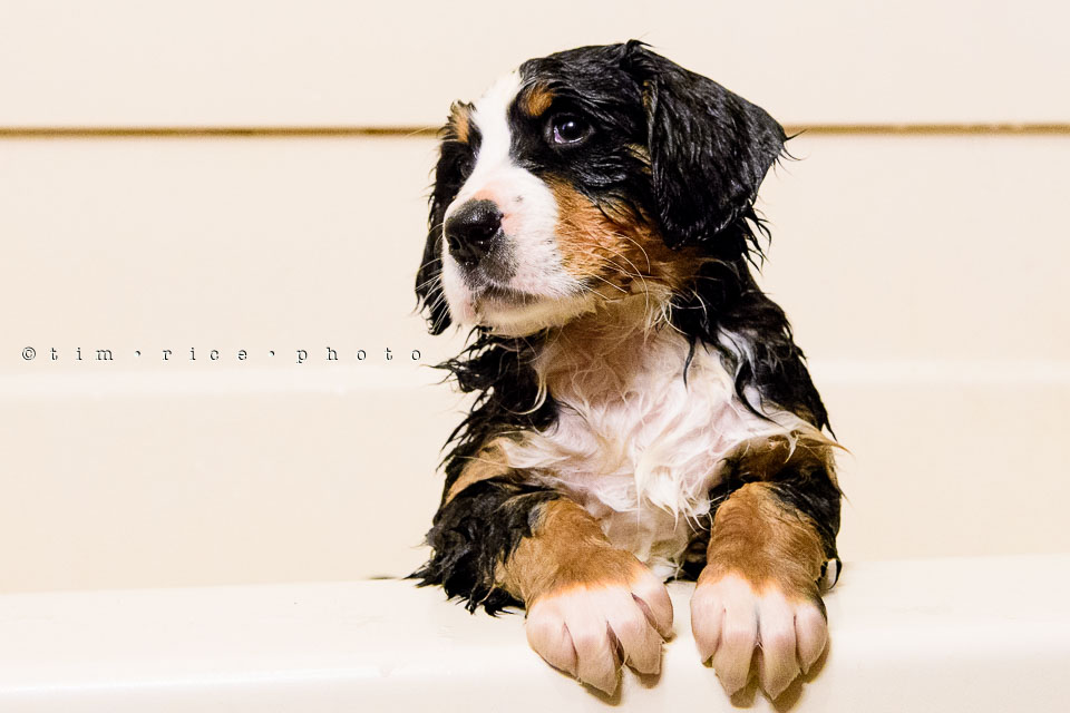 Yr7•214-366•2405•Joise's Bathtime