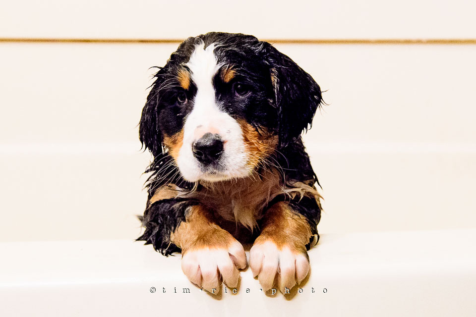 Yr7•215-366•2405•Joise's Bathtime