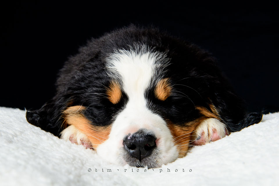 Yr7•215-366•2406•Joise