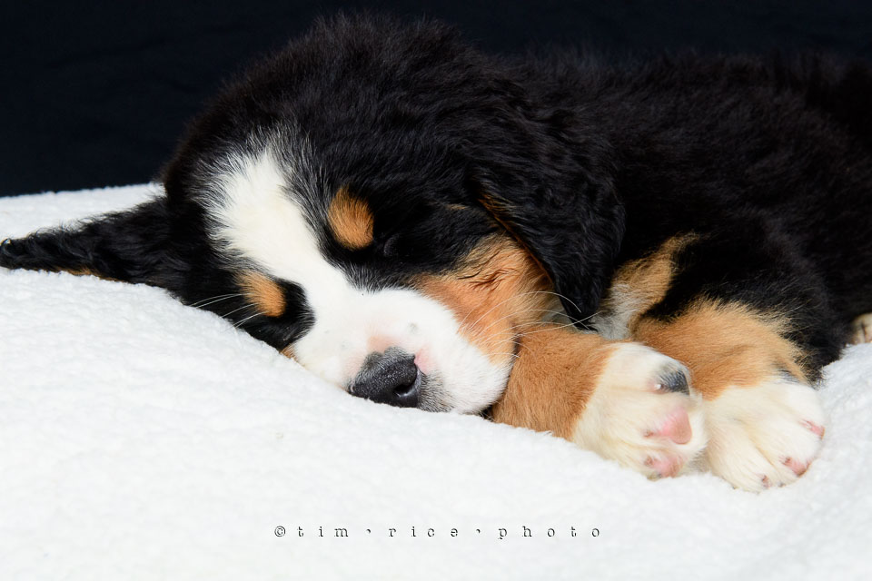 Yr7•215-366•2406•Joise