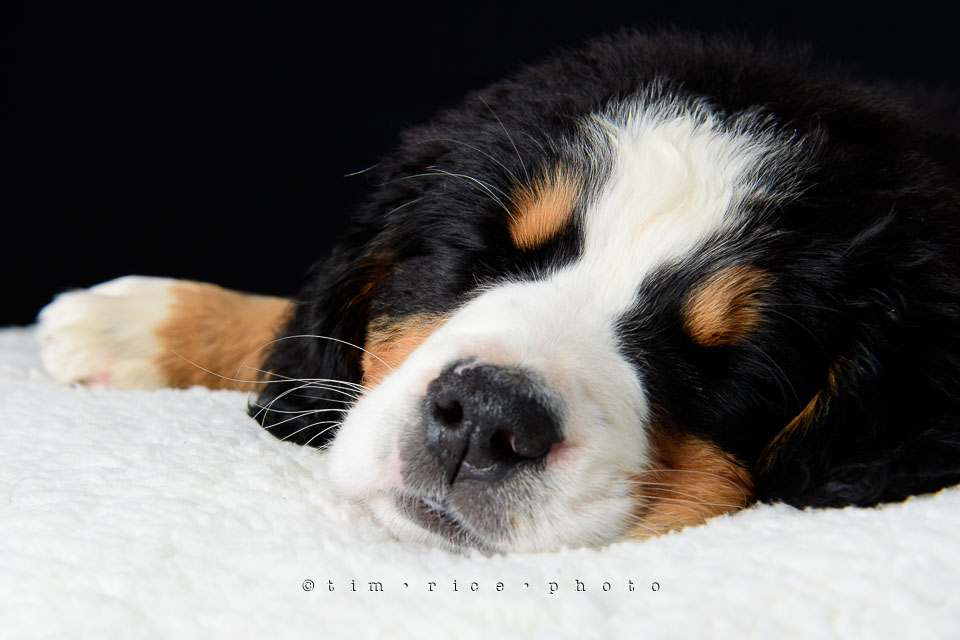 Yr7•218-366•2406•Joise