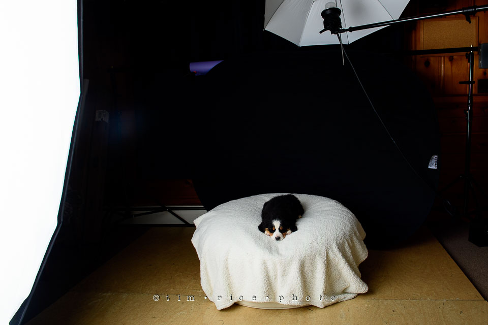 Yr7•219-366•2406•Joise