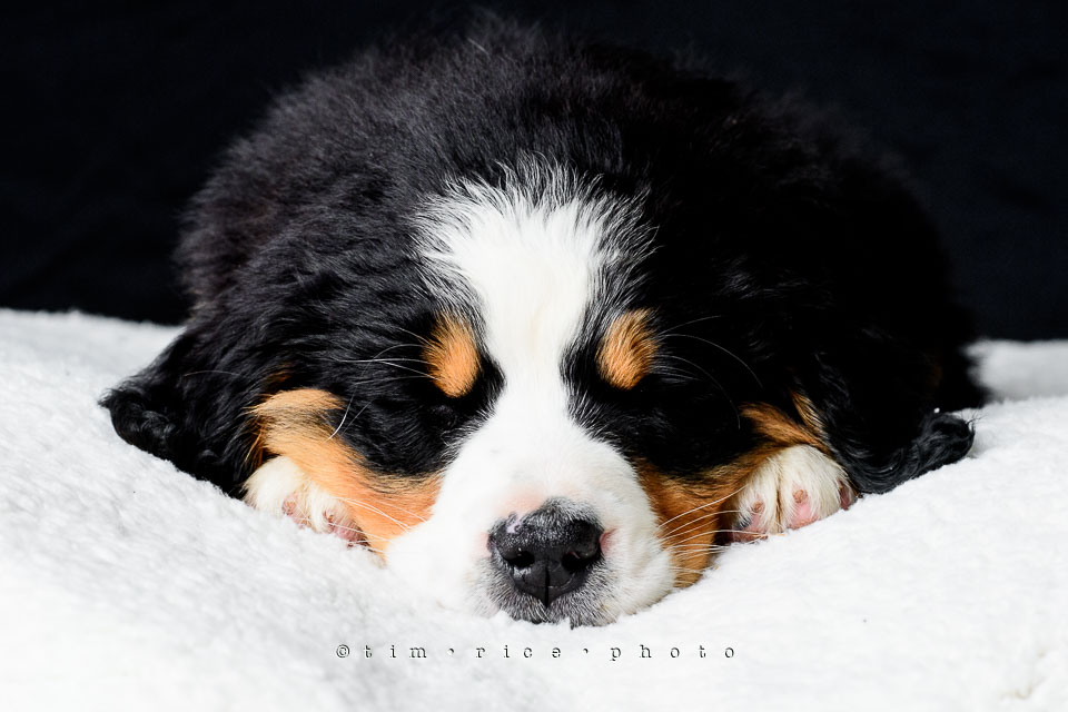 Yr7•220-366•2406•Joise