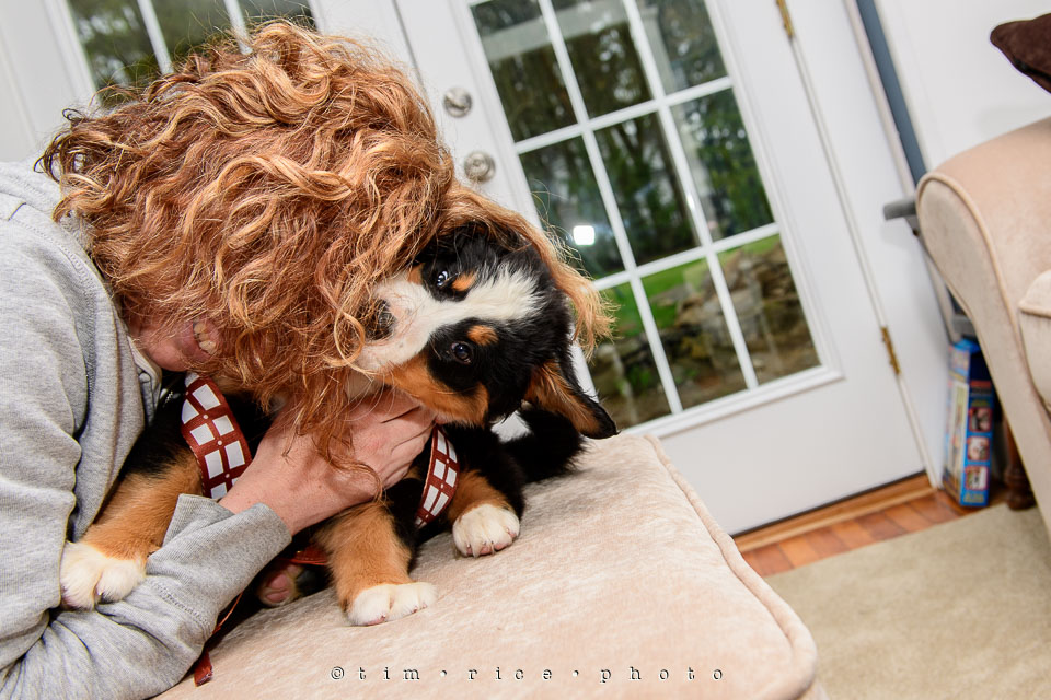 Yr7•221-366•2408•May the 4th Josie