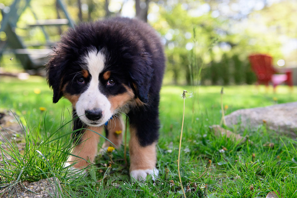 Yr7•224-366•2415•Josie Smile