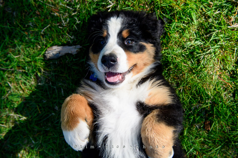 Yr7•224-366•2415•Josie Smile