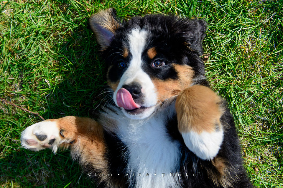 Yr7•226-366•2415•Josie Smile