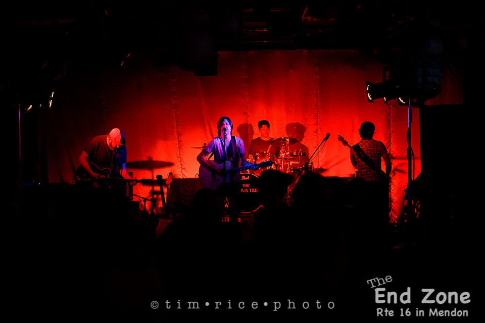 Yr7•226-366•2417•The Joshua Tree