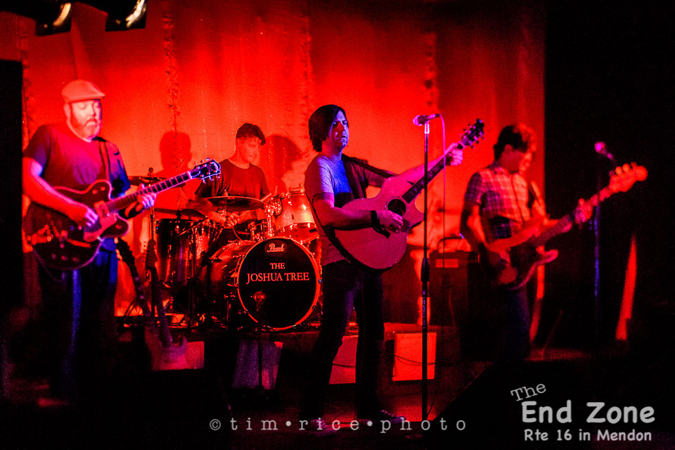 Yr7•226-366•2417•The Joshua Tree