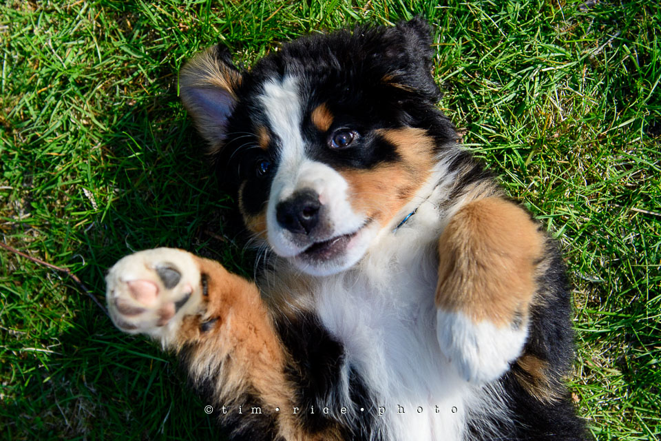 Yr7•227-366•2415•Josie Smile