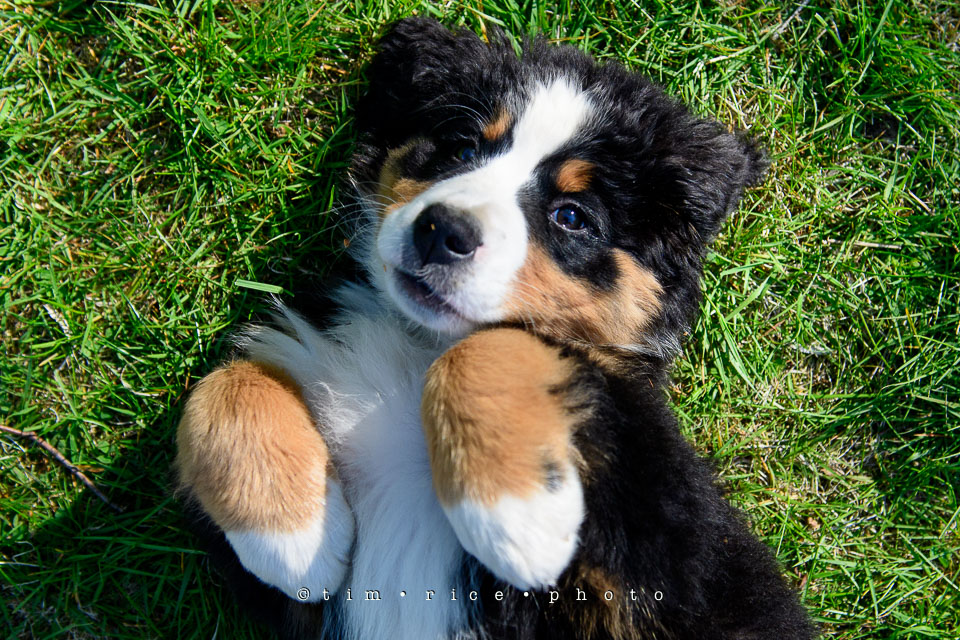 Yr7•228-366•2415•Josie Smile