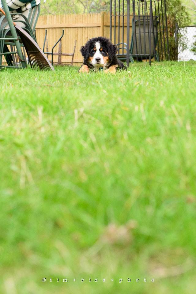 Yr7•228-366•2418•Josie Plays