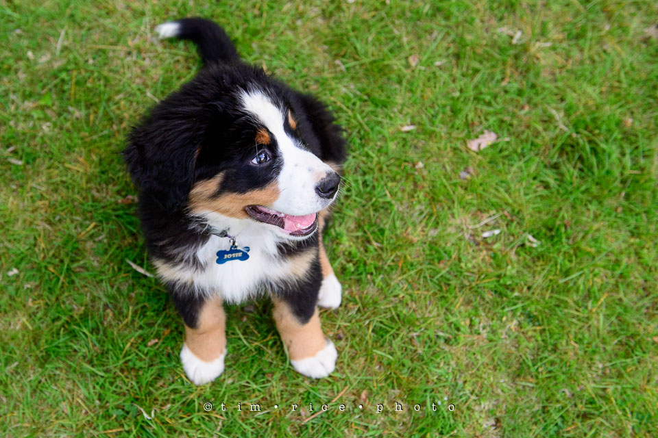 Yr7•230-366•2418•Josie Plays