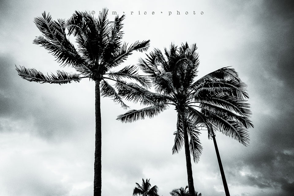 Yr7•230-366•2421•FLA Storm