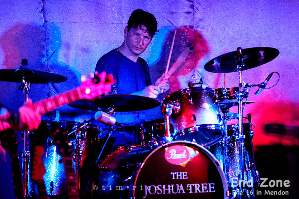 Yr7•231-366•2417•The Joshua Tree