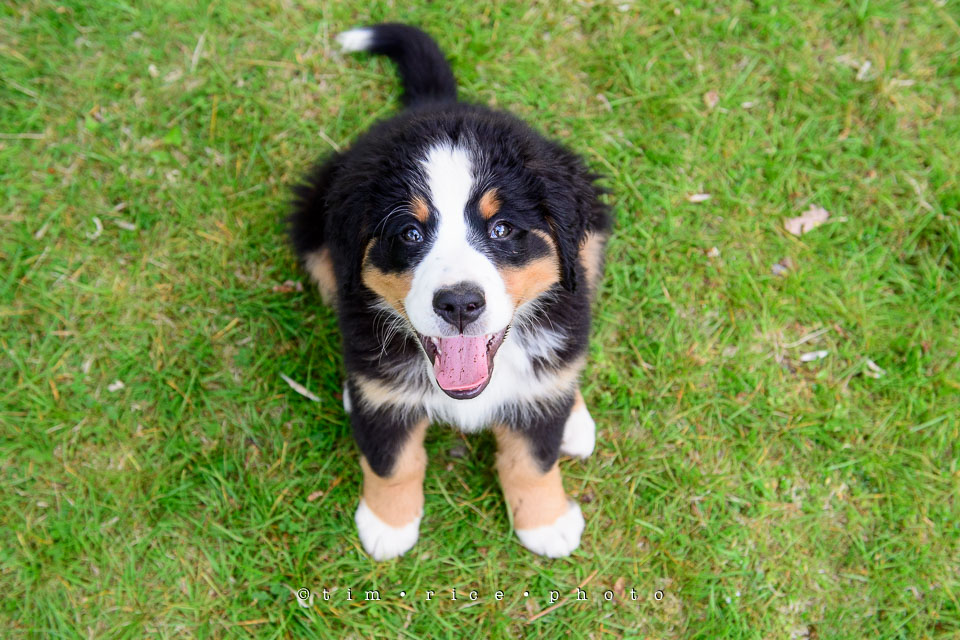 Yr7•231-366•2418•Josie Plays