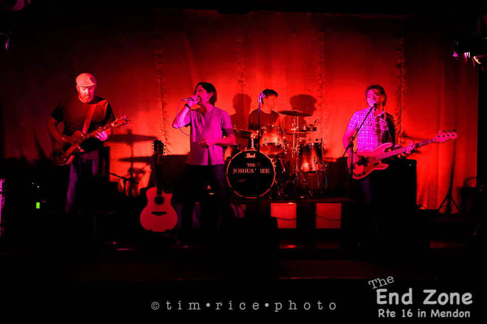 Yr7•232-366•2417•The Joshua Tree