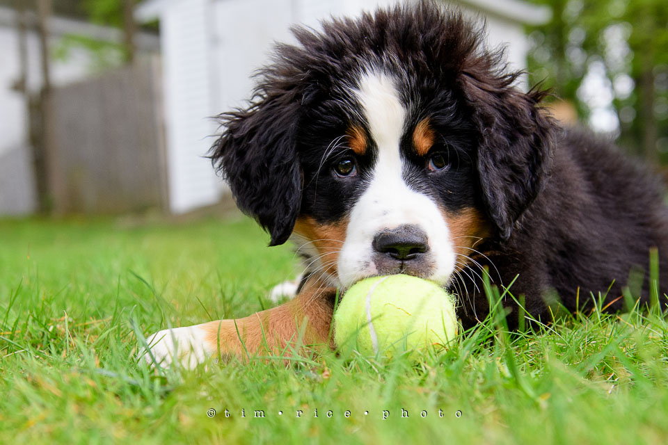 Yr7•234-366•2418•Josie Plays