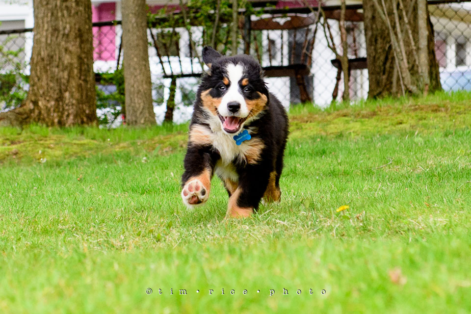 Yr7•235-366•2418•Josie Plays