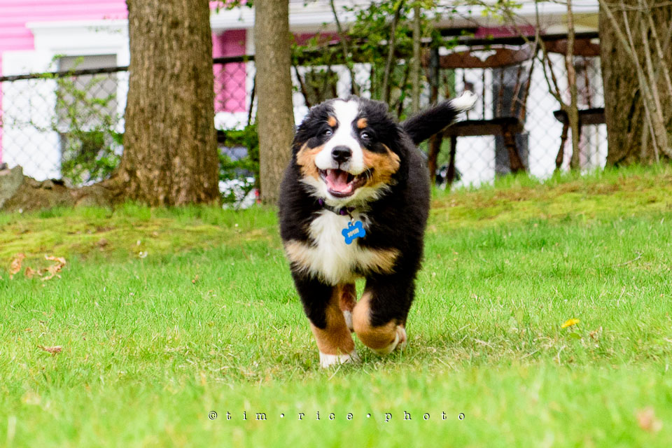 Yr7•236-366•2418•Josie Plays