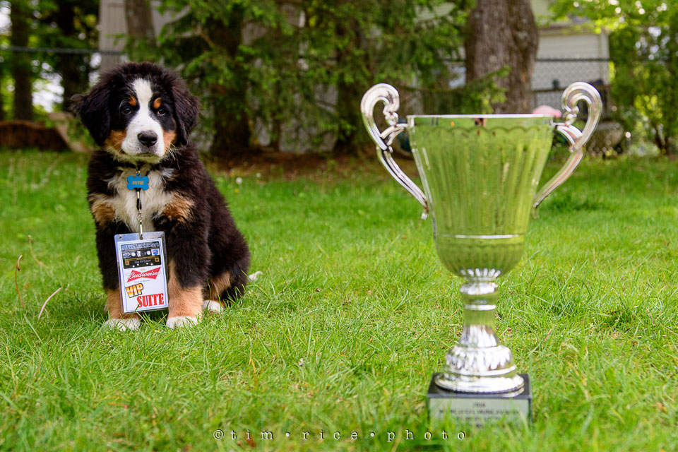 Yr7•236-366•2427•Honors