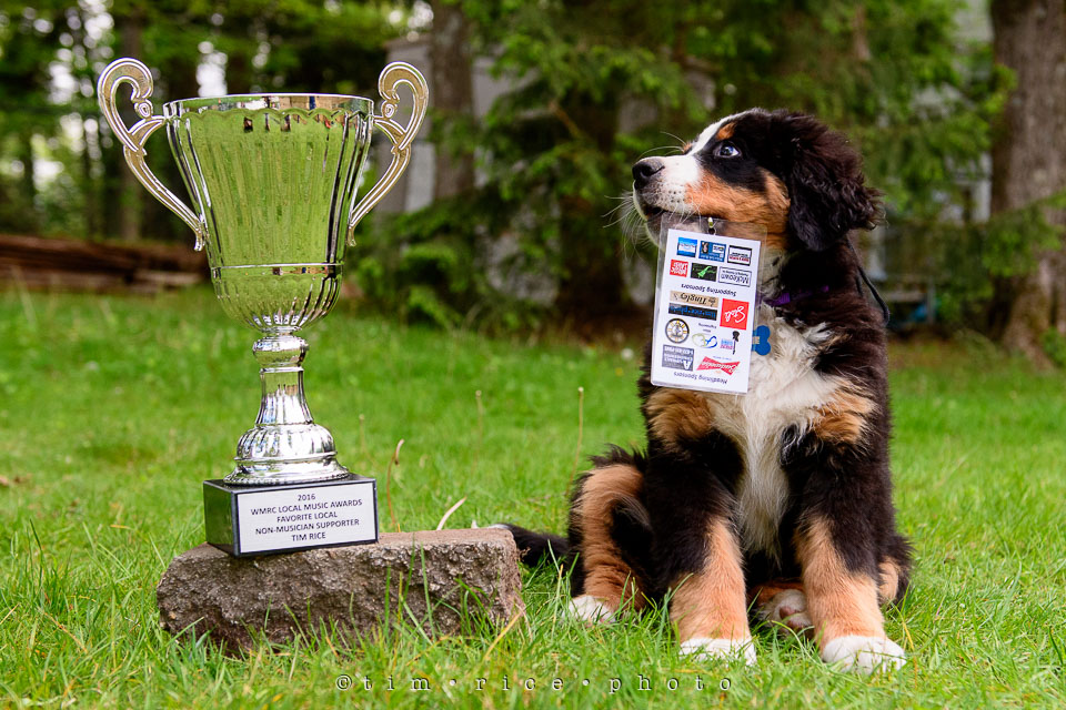 Yr7•236-366•2427•Honors