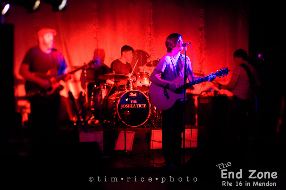 Yr7•237-366•2417•The Joshua Tree