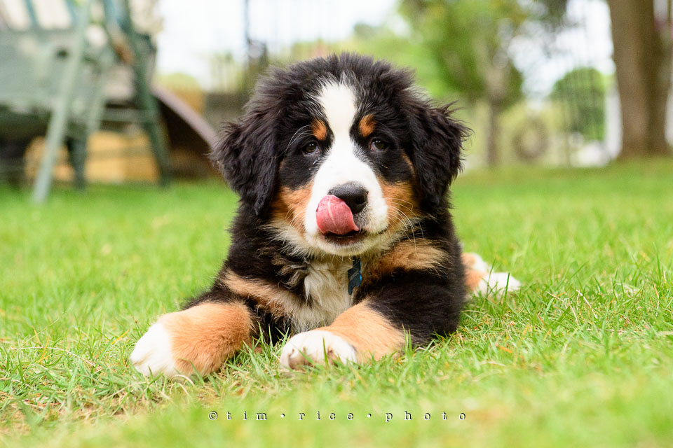 Yr7•237-366•2418•Josie Plays