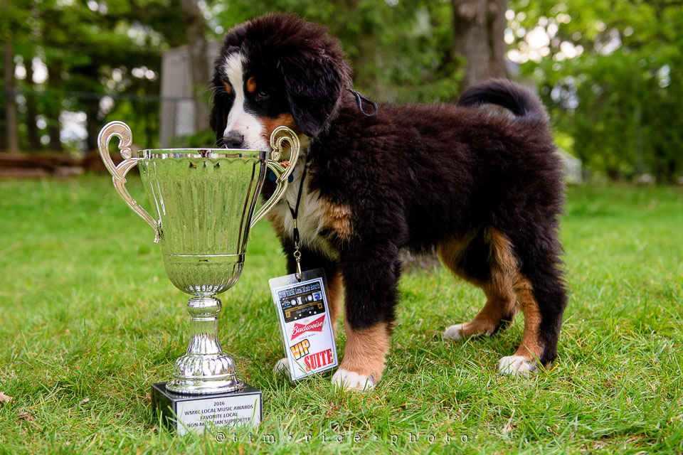 Yr7•237-366•2427•Honors