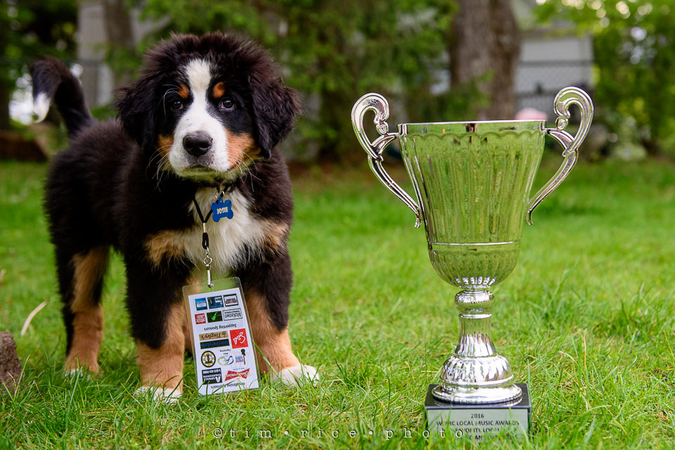 Yr7•238-366•2427•Honors